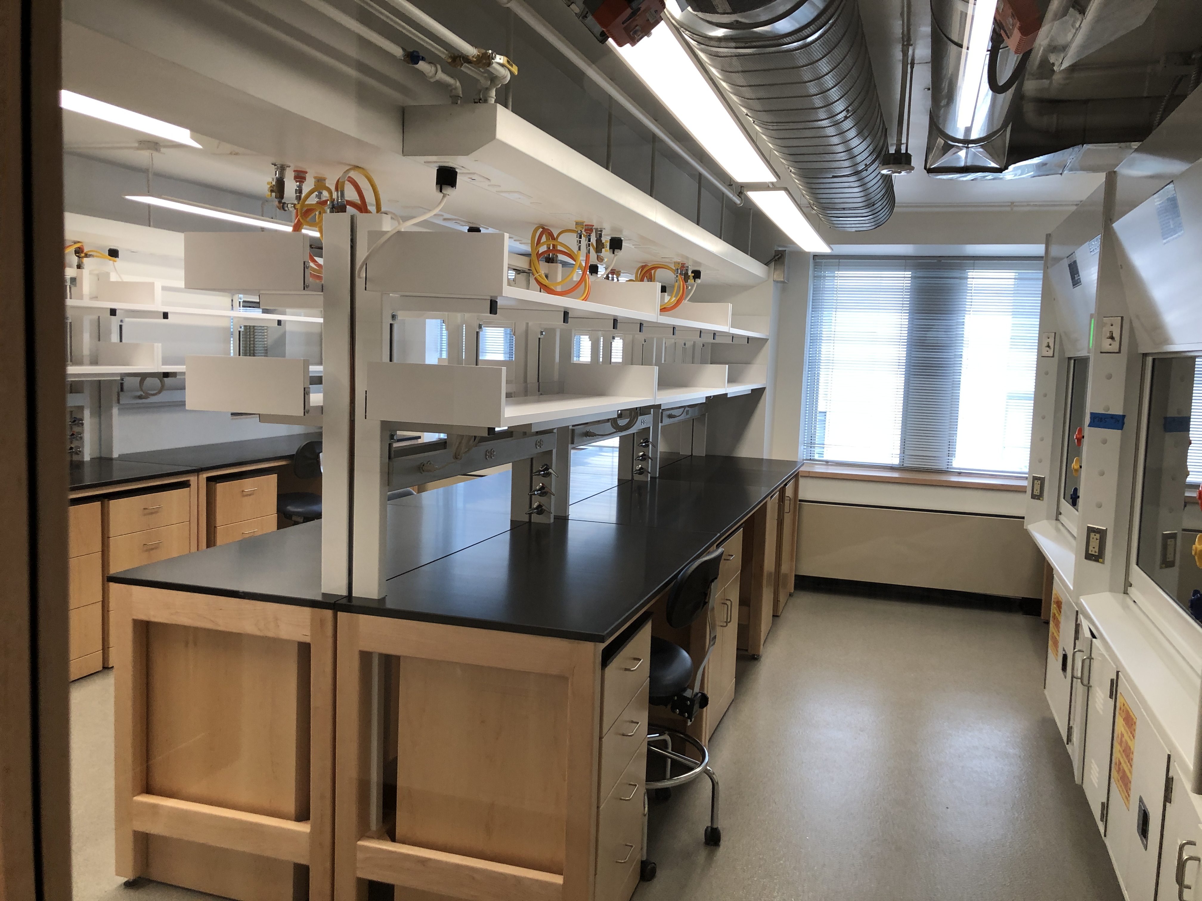 New lab 1